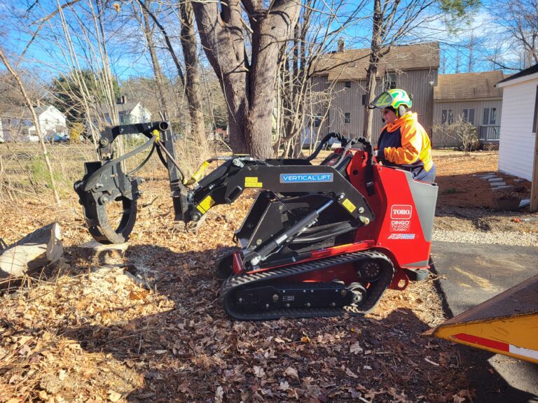 Tree Removal in Simsbury, CT